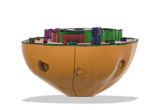 animal cell 3D Model