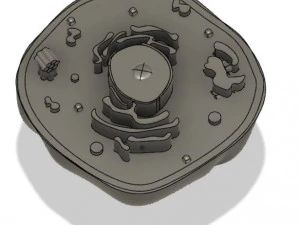animal cell 3D Model