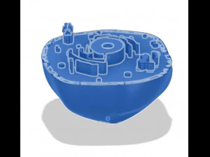 animal cell 3D Model