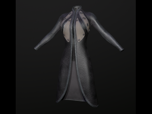 raincoat steampunk low poly 5 texture options Modello 3D