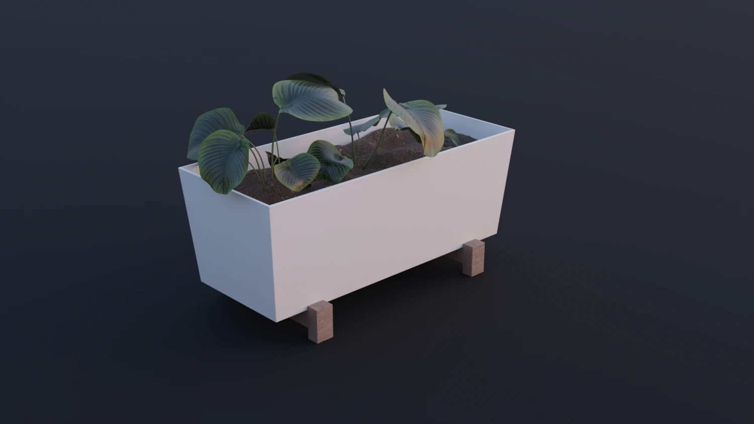 Bittergurka Plant Pot 3D Model .c4d .max .obj .3ds .fbx .stl .blend