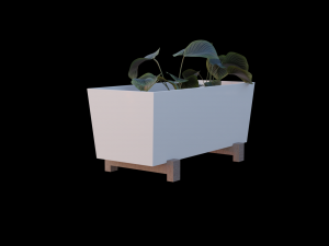 Bittergurka Plant Pot Modèle 3D
