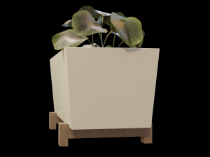 Bittergurka Plant Pot Modèle 3D