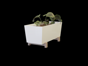Bittergurka Plant Pot Modèle 3D