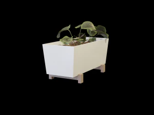Bittergurka Plant Pot 3D Model