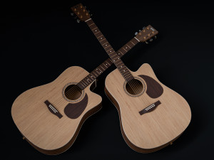 Acoustic Guitar Modèle 3D