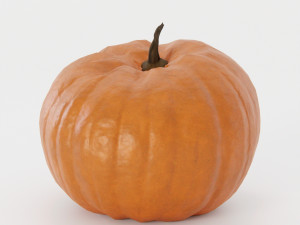 Pumpkin Pack 3Dモデル