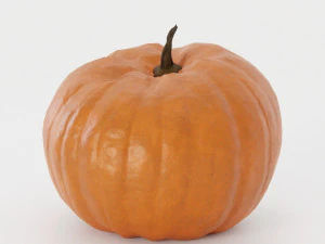 Pumpkin Pack 3D Model
