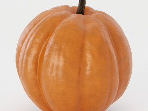 Pumpkin Pack 3Dモデル