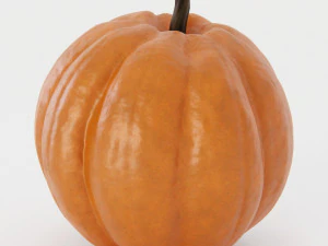 Pumpkin Pack 3D Model
