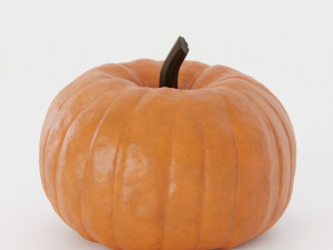 Pumpkin Pack 3Dモデル