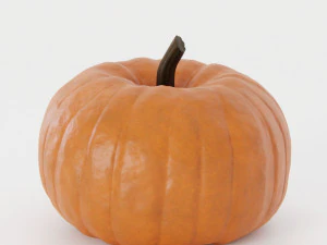 Pumpkin Pack 3D Model