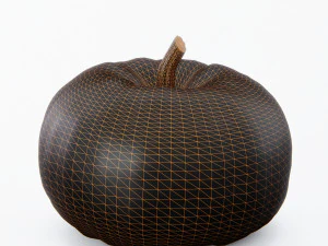 Pumpkin Pack 3D Model