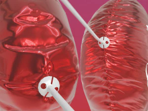 Love Heart Balloons 3D Model