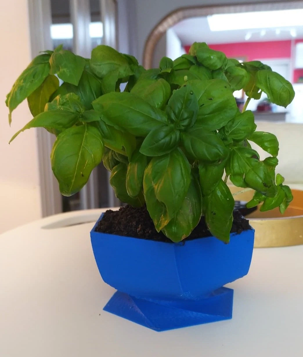 flower pot twisted pentagone 3D Print Model .c4d .max .obj .3ds .fbx .stl .blend