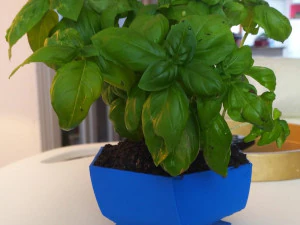 bloempot gedraaide vijfhoek 3D printmodel