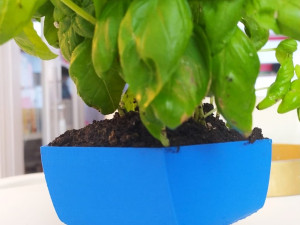 flower pot twisted pentagone 3D Print Model
