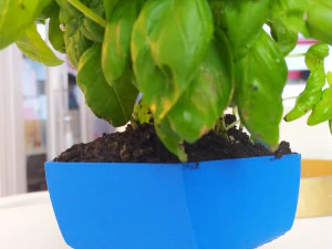 flower pot twisted pentagone 3D Print Model