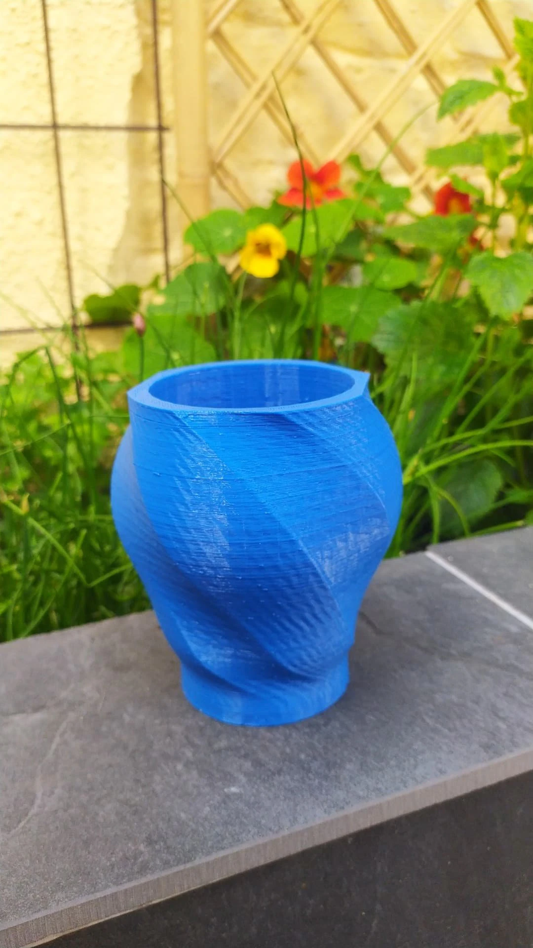 flower pot twisted octogone - pot de fleur octogone tordu 3D Print Model .c4d .max .obj .3ds .fbx .stl .blend 