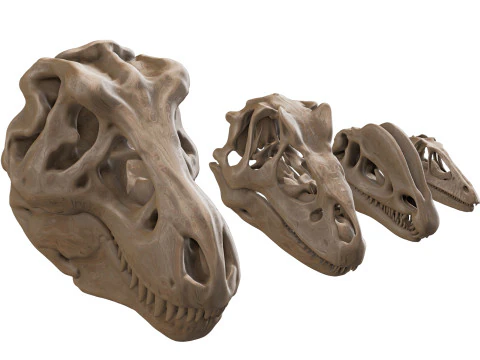 包食肉动物 4 鹤恐龙 3D 模型