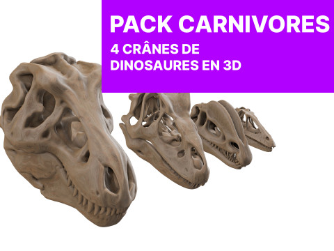 Pack Carnivores 4 Cranes de Dinosaures Modello 3D