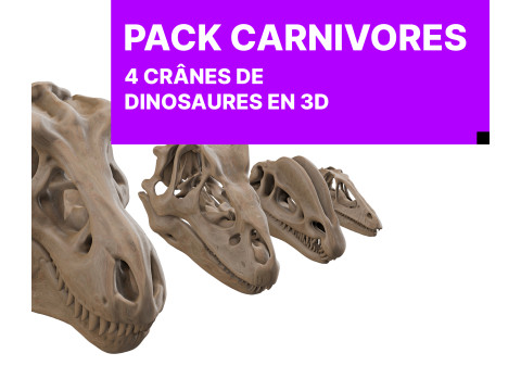 Pack Carnivores 4 Cranes de Dinosaures Modello 3D
