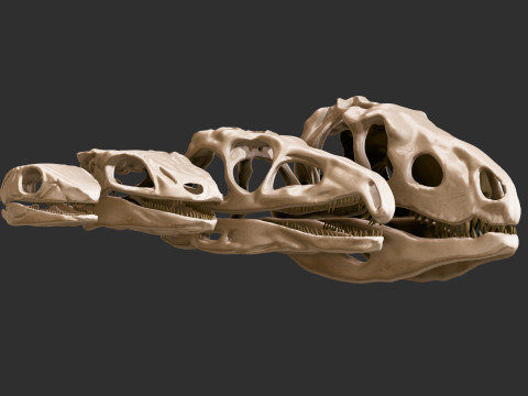 Pack Evolution 4 Cranes de Repiles - Dinosaures 3D 모델
