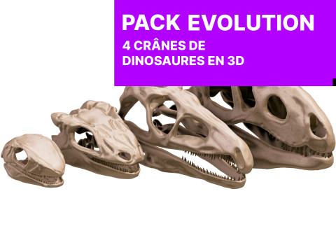 Pack Evolution 4 Cranes de Repiles - Dinosaures 3D 모델