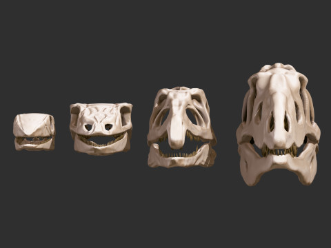 Pack Evolution 4 Cranes de Repiles - Dinosaures 3D 모델