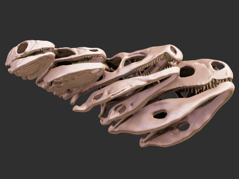 Pack Evolution 4 Cranes de Repiles - Dinosaures 3D 모델