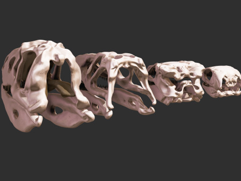 Pack Evolution 4 Cranes de Repiles - Dinosaures 3D 모델