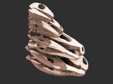 Pack Evolution 4 Cranes de Repiles - Dinosaures 3D 모델