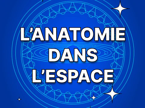 Atlas de anatom&iacute;a humana Esqueleto completo Modelo 3D