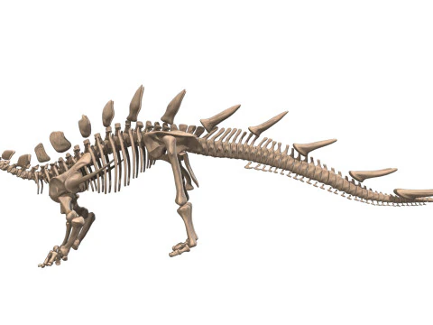 Kentrosaurus Squelette complet 3D Model