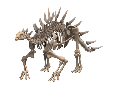 Kentrosaurus Squelette complet 3D Model