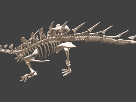 Kentrosaurus Squelette complet 3D Model