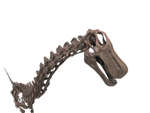 Alamosaurus Squelette complet 3D Model