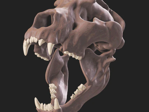 Ursus spelaeus kraanvogel 3D Model