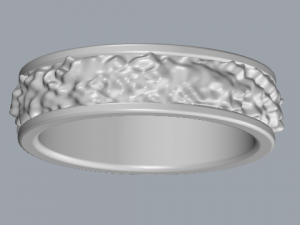 925 sterling silver texture ring jewelry 3D 打印模型