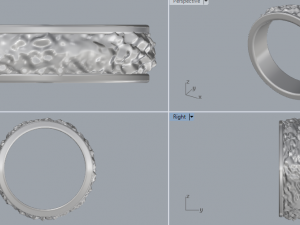 925 sterling silver texture ring jewelry Modelo de Impressão 3D