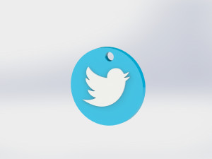 Twitter Keychain 3D Print Model