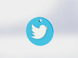 Twitter Keychain 3D Print Model