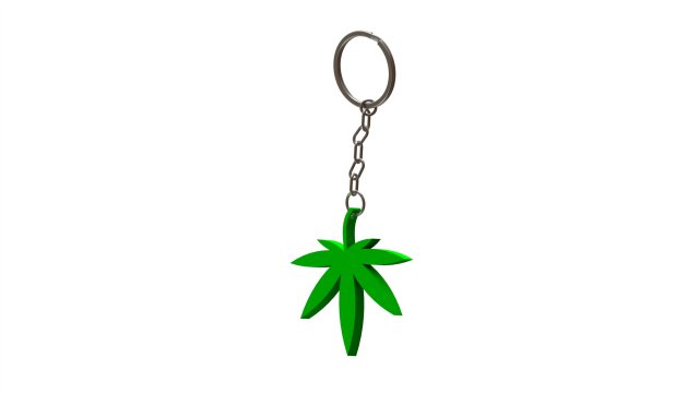 Weed keychain store