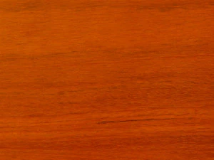 वायलिन 3D मॉडल