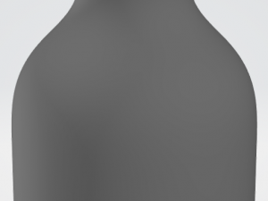 pre-hollowed bottle 5 plain 3D Принт Модель