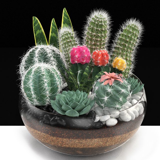 bowl of cactus collection 3D Model .c4d .max .obj .3ds .fbx .stl .blend 
