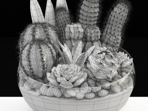 bowl of cactus collection 3D Model