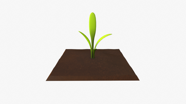 cartoon vegetable plot 3D 모델 .c4d .max .obj .3ds .fbx .stl .blend 