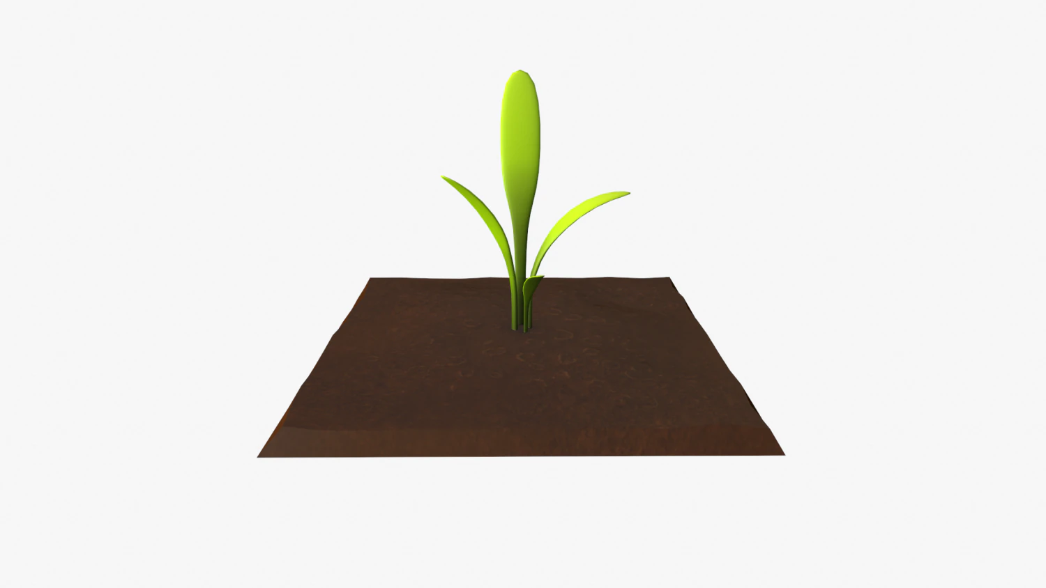cartoon vegetable plot 3D Model .c4d .max .obj .3ds .fbx .stl .blend 