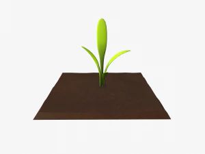 cartoon vegetable plot 3D Model